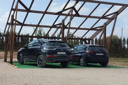 Untitled design (11)